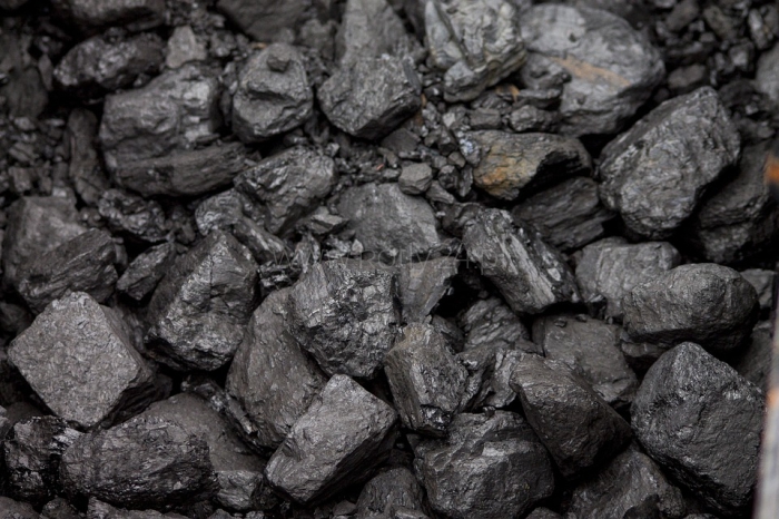 Coal in 2023: Prices, Influencing Factors, and Best Places to Purchase