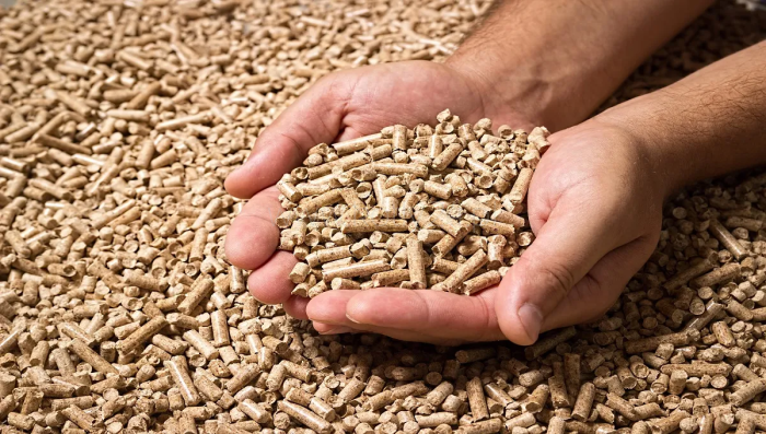 Pellet Prices in Poland in 2023: Perspectives, Benefits, and Challenges
